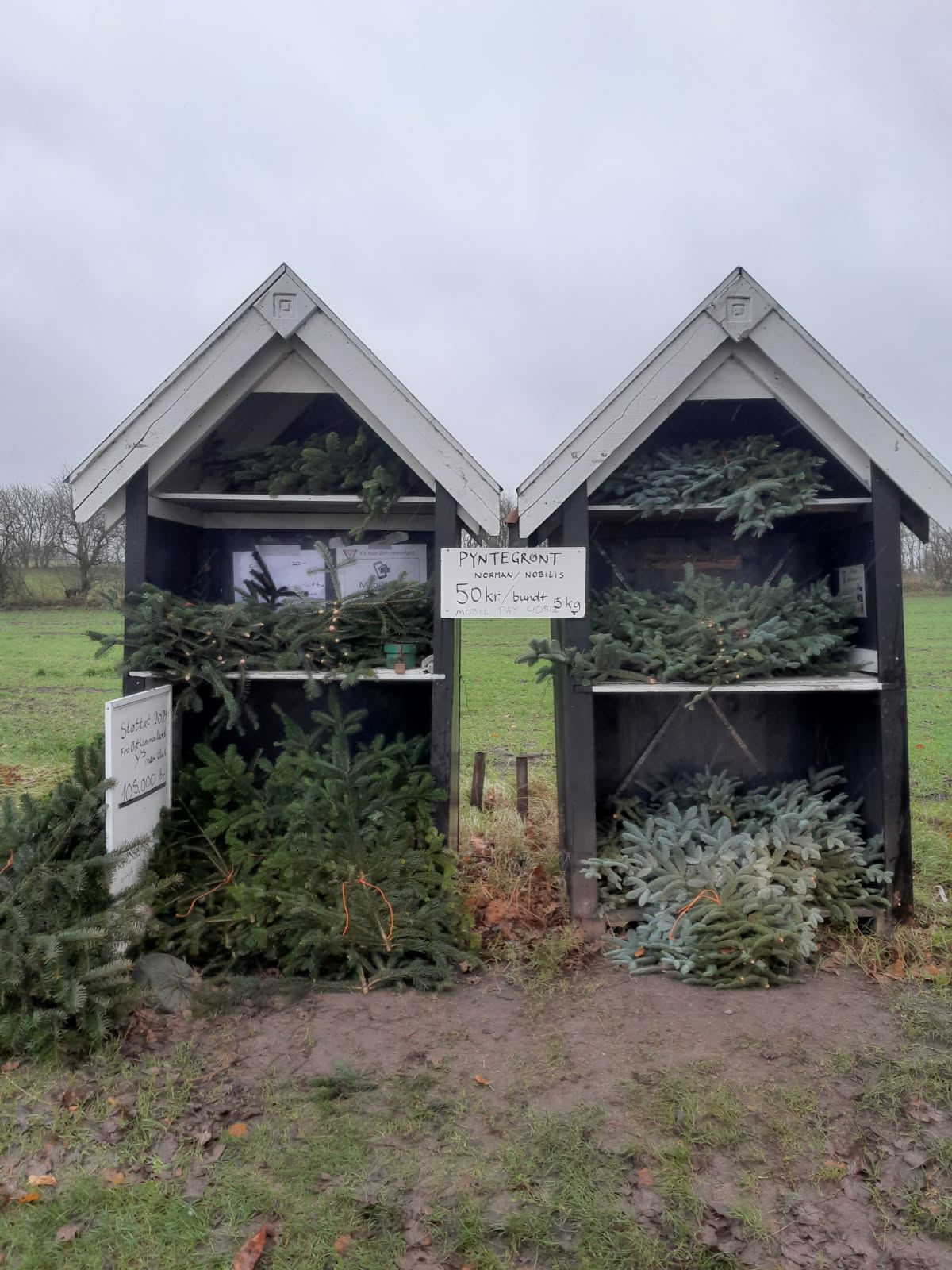 Salg af gran i Y's Men boden